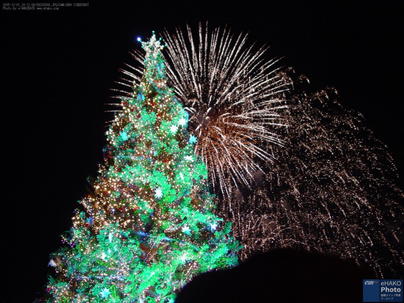 クリスマスファンタジー花火と巨大ツリー 2005年12月
