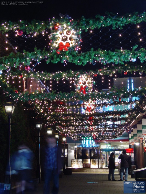 クリスマスシーズンのベイエリア 2005年12月