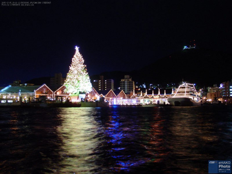 クリスマスシーズンのベイエリア 2005年12月