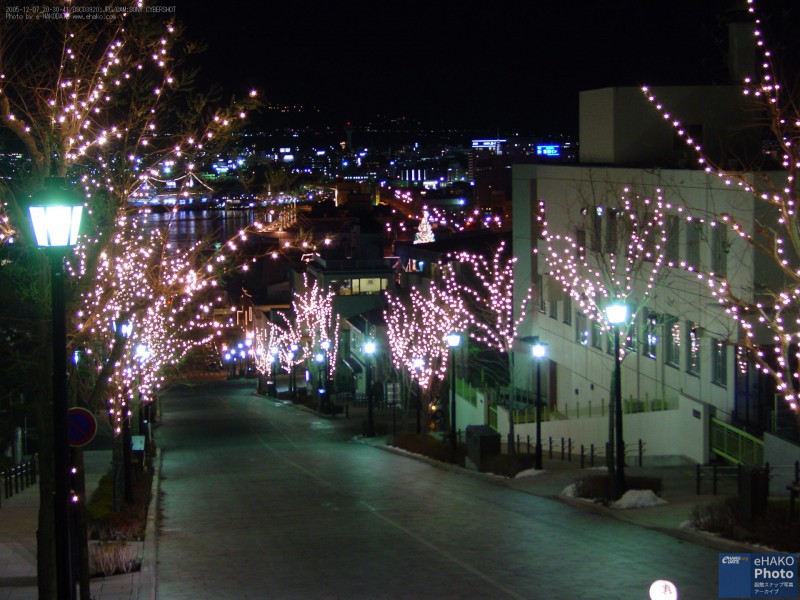 クリスマスシーズンのイルミネーション 八幡坂 2005年12月