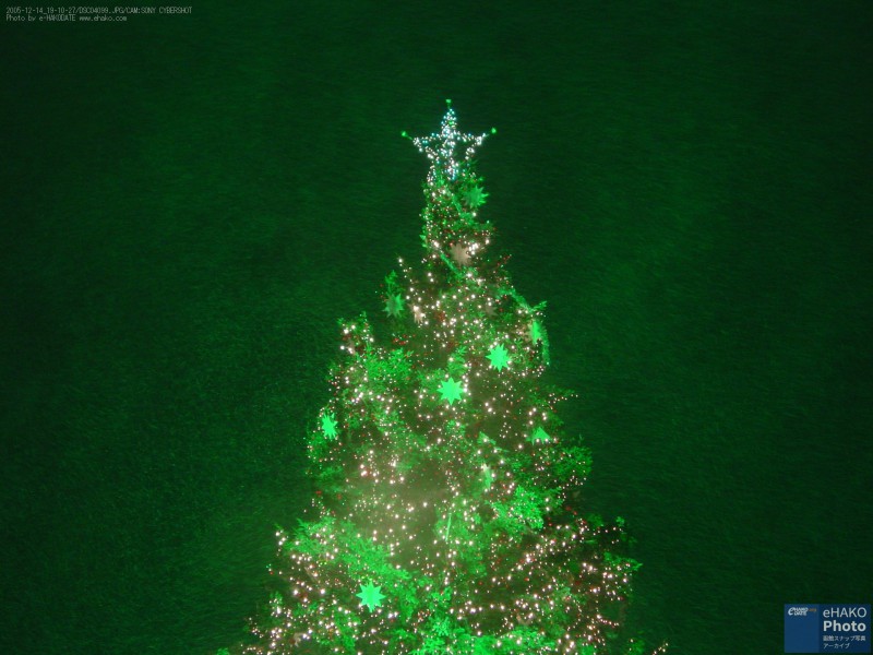 吹雪に浮かび上がるクリスマスツリー 2005年12月
