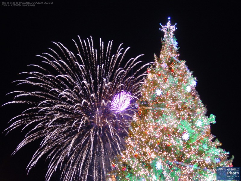 クリスマスファンタジー巨大ツリーと花火 2005年12月