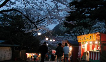 2002年函館公園の夜桜　その1