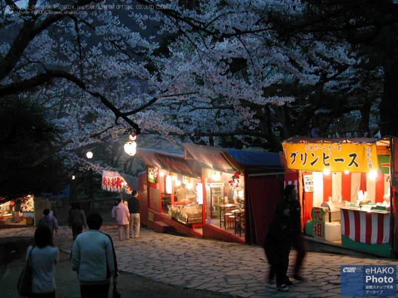2002年函館公園の夜桜　その2
