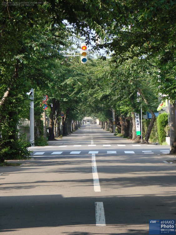 桜ヶ丘通り／夏の街の風景 2006年8月