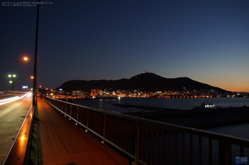 巴大橋からの夜景